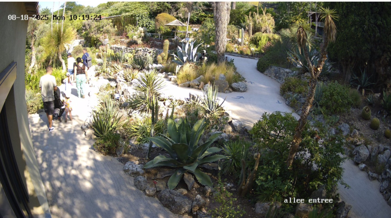 installation caméra 4k de vidéosurveillance dans le var près de Marseille 