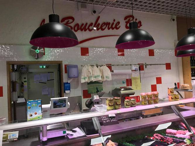 Installation d’un système de video protection et alarme Nature et Sens Nimes